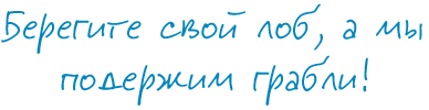 Береги свой лоб, а мы подержим грабли!